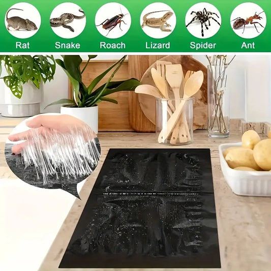 Extra Large Powerful Rat Trap